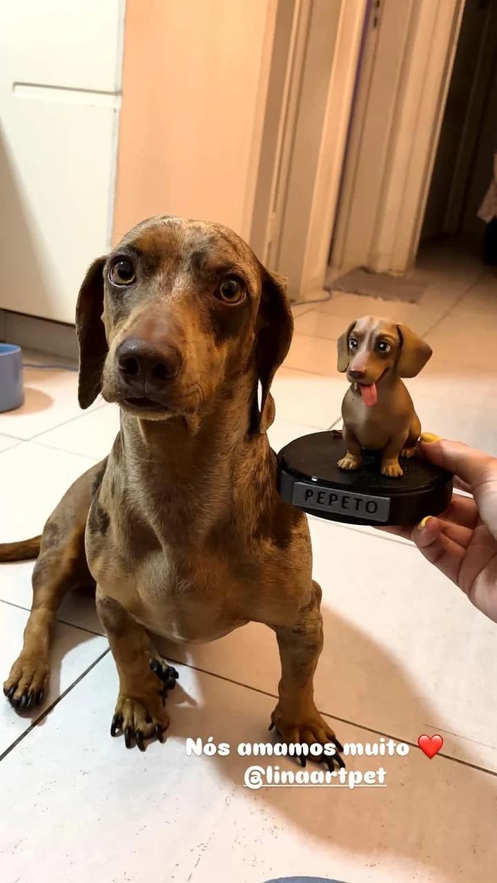 Pepeto ao lado da sua miniatura, segurada na mão pela tutora