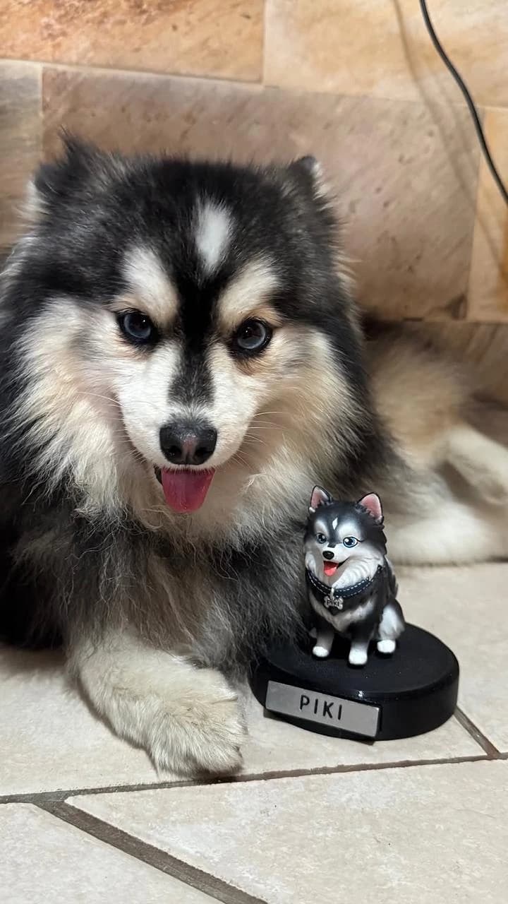 Piki deitado ao lado da sua miniatura sobre a base preta