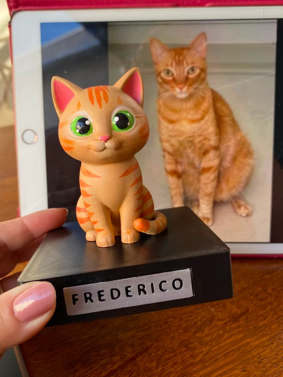 Miniatura de Frederico em primeiro plano, diante da fotografia do gato laranja que serviu de referência