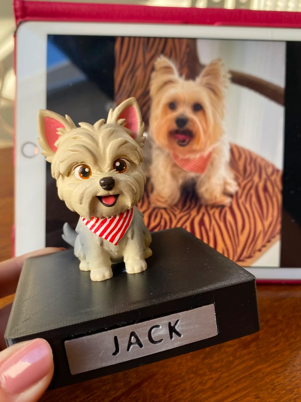 Miniatura de Jack em primeiro plano, diante da fotografia do yorkshire que serviu de referência