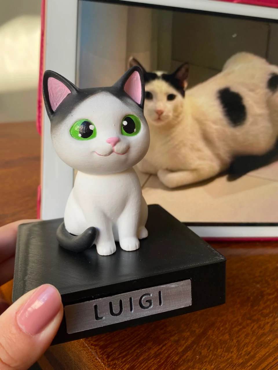 Miniatura de Luigi em primeiro plano, diante da fotografia do gato branco com manchas pretas que serviu de referência